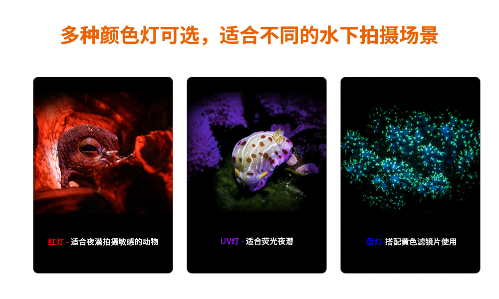 潛水（shuǐ）攝影燈，水下攝（shè）影照明，D530V多功能手電筒，潛水照明燈，OrcaTorch91视频成人版