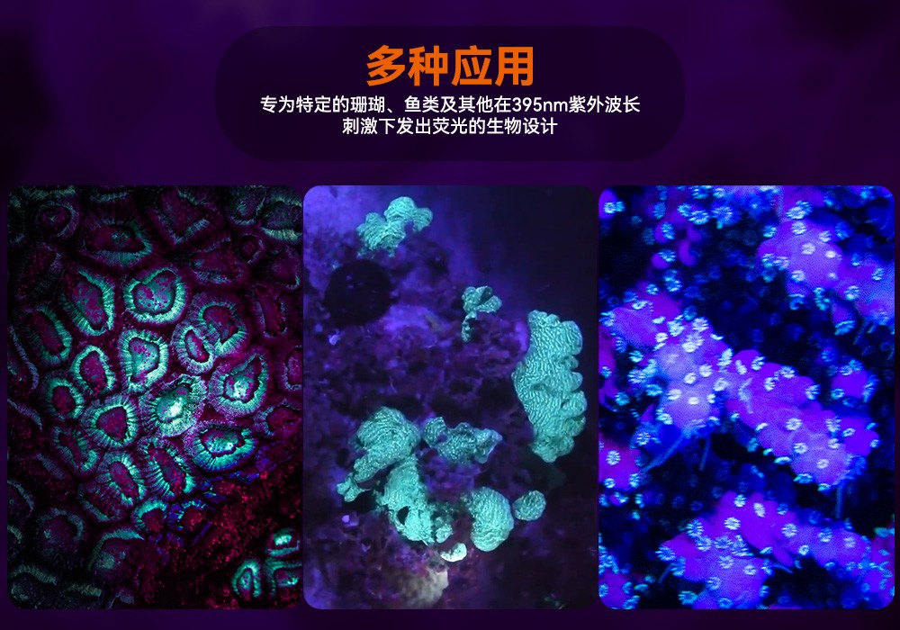 D530 UV 紫外線 潛水攝影照明_潛水照明_水下攝(shè)影照明_潛水攝影補光燈_ 91视频成人版(jīng)OrcaTorch