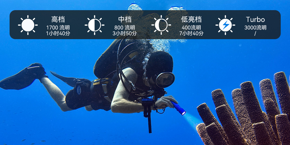 D710潛水手電筒,D710休閑潛水手電(diàn)筒,D710潛(qián)水燈,D710水肺潛水,D710潛水手電,91视频成人版OrcaTorch
